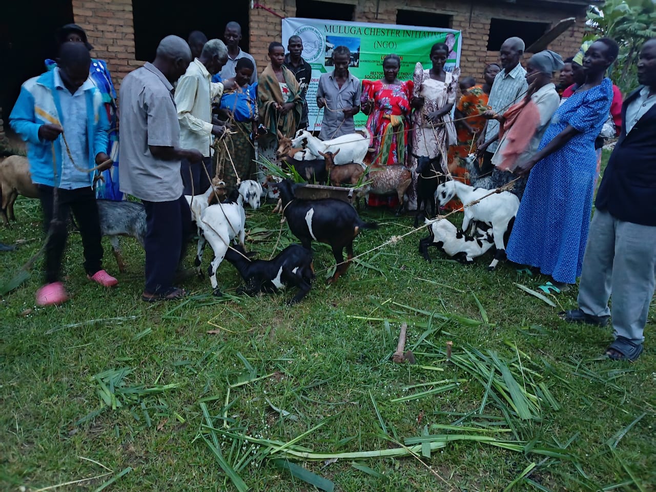 Market Linkages